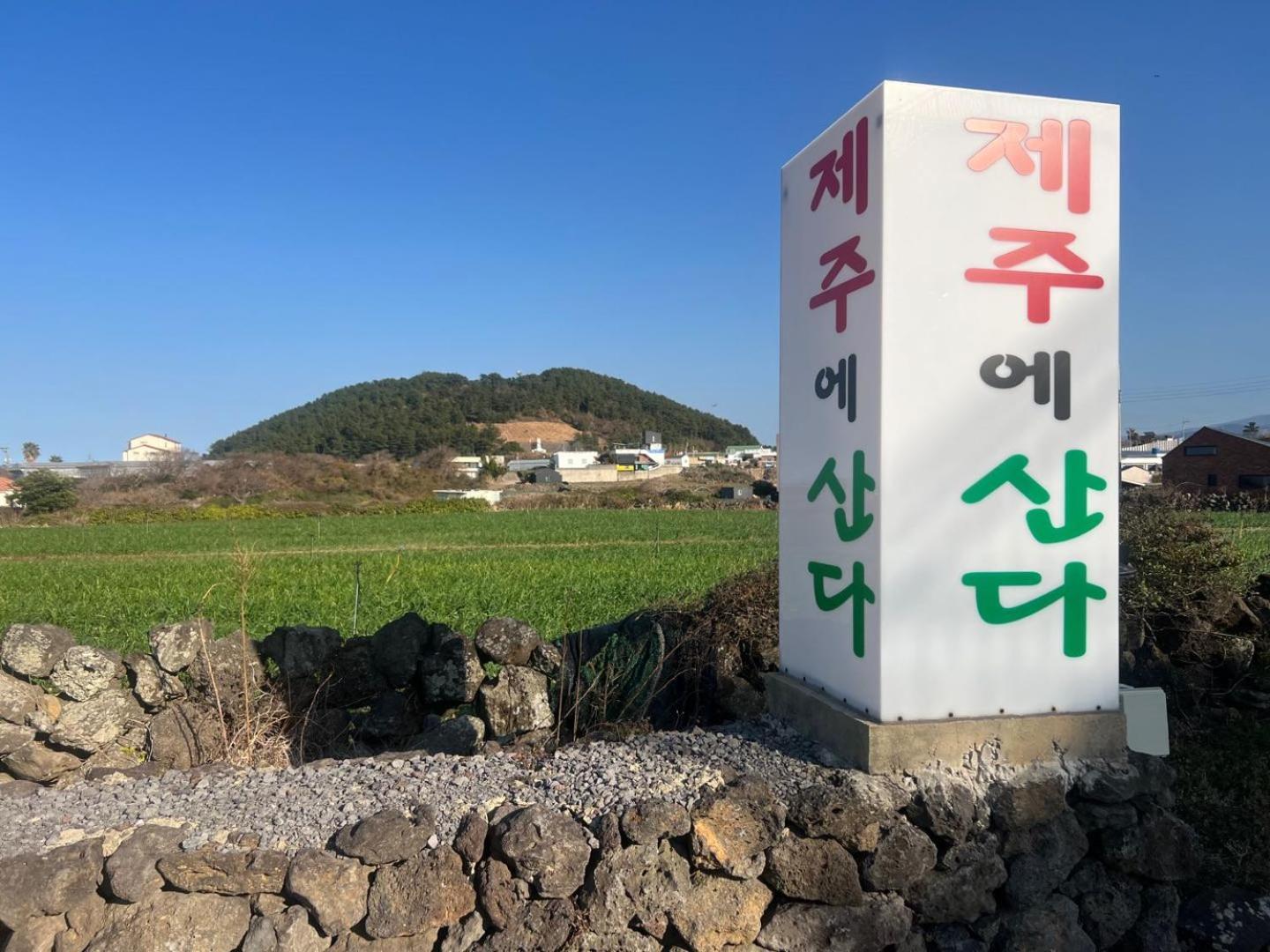 Living In Jeju Island Apartment Luaran gambar